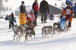 Lenk 2012 SM